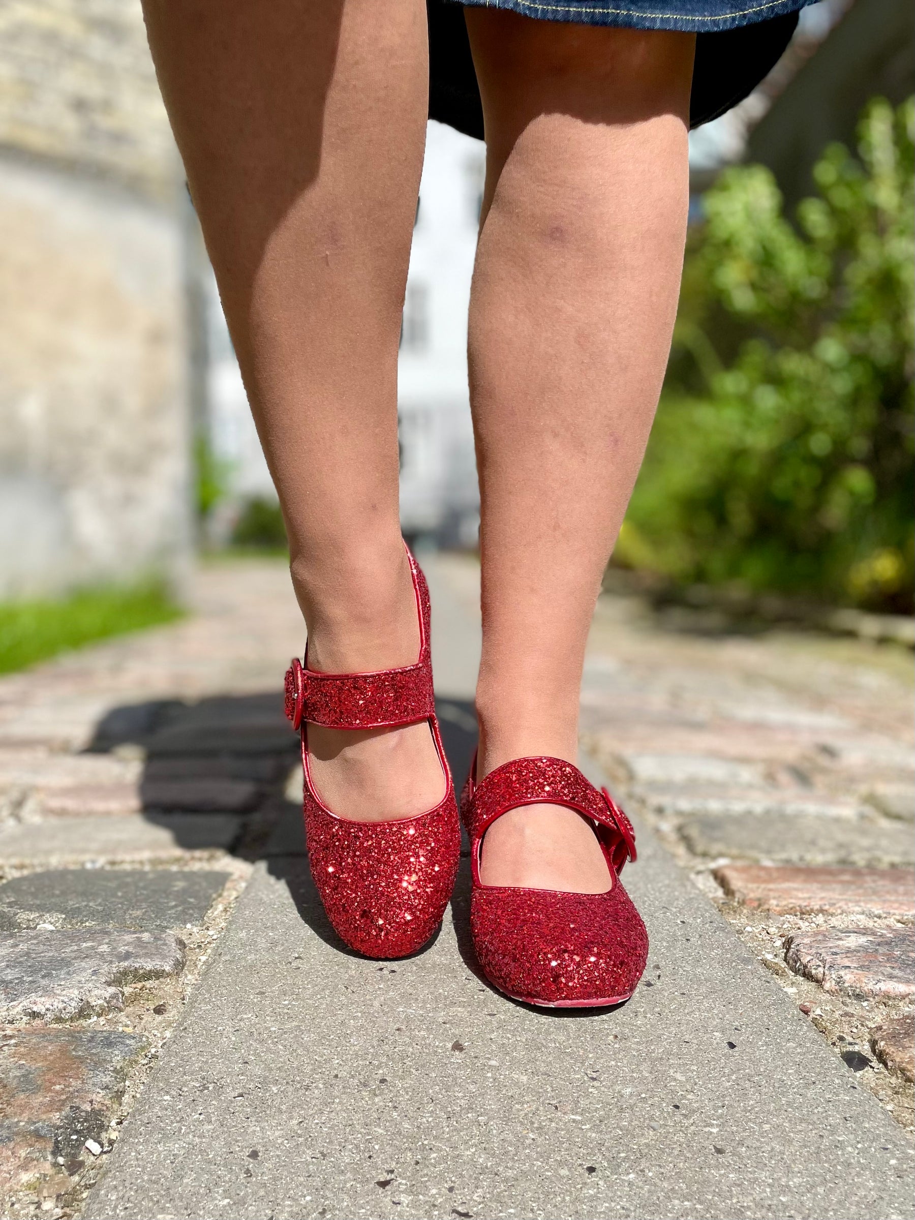 Alice Ruby Slippers