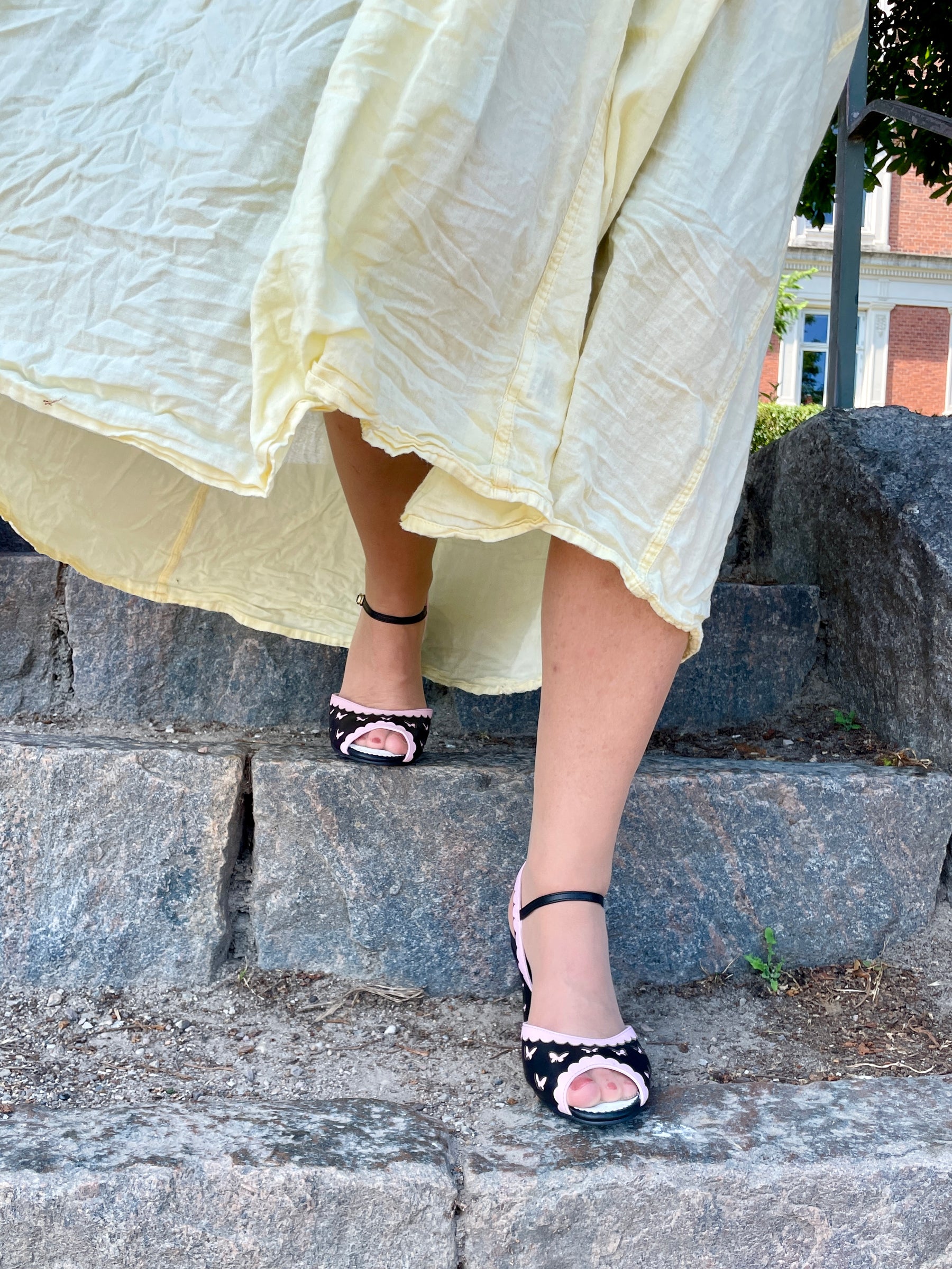 Ava Papilio