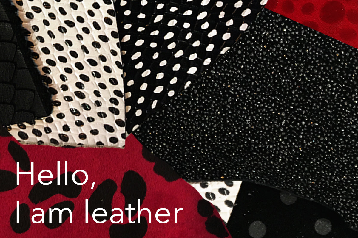 Hello, I am leather - English