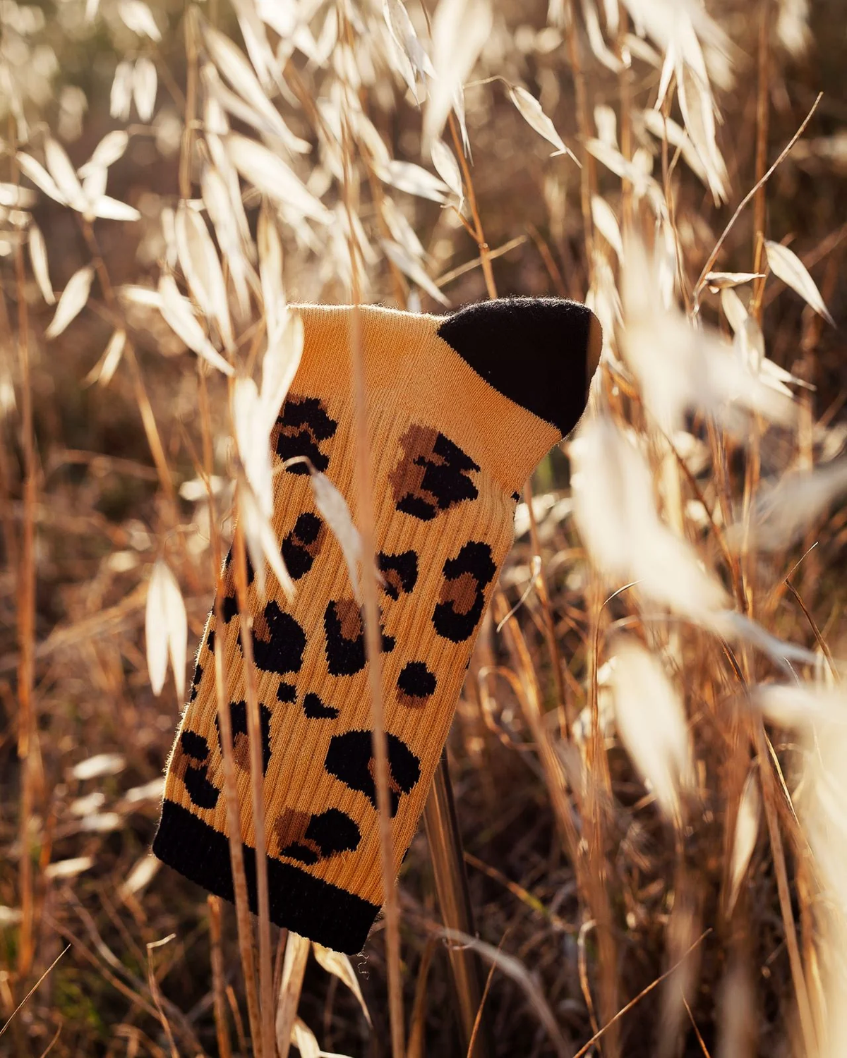 Leopard - Sport Socks