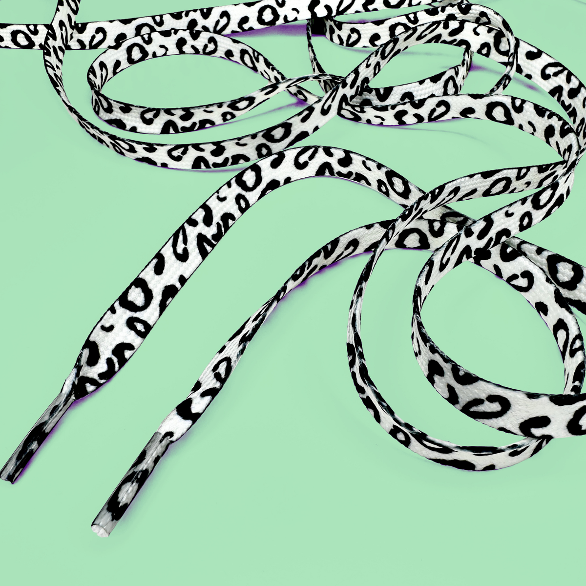 White Leopard Laces