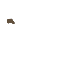 Mole