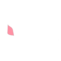Barbie Pink