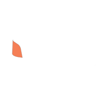 Bright Orange