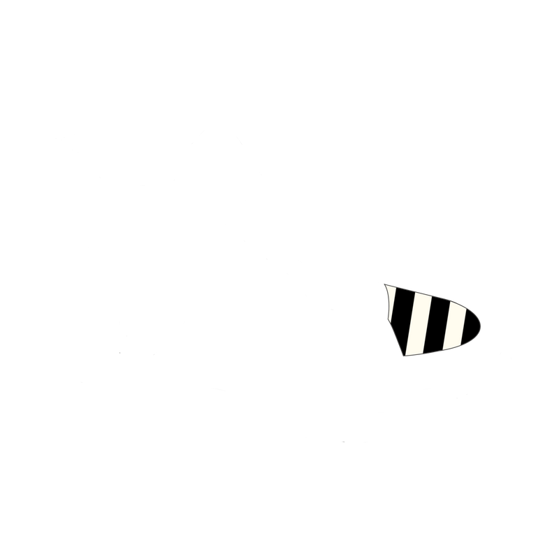 Stripes
