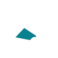 Petroleum