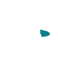 Petroleum