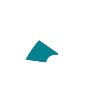Petroleum