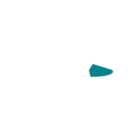 Petroleum