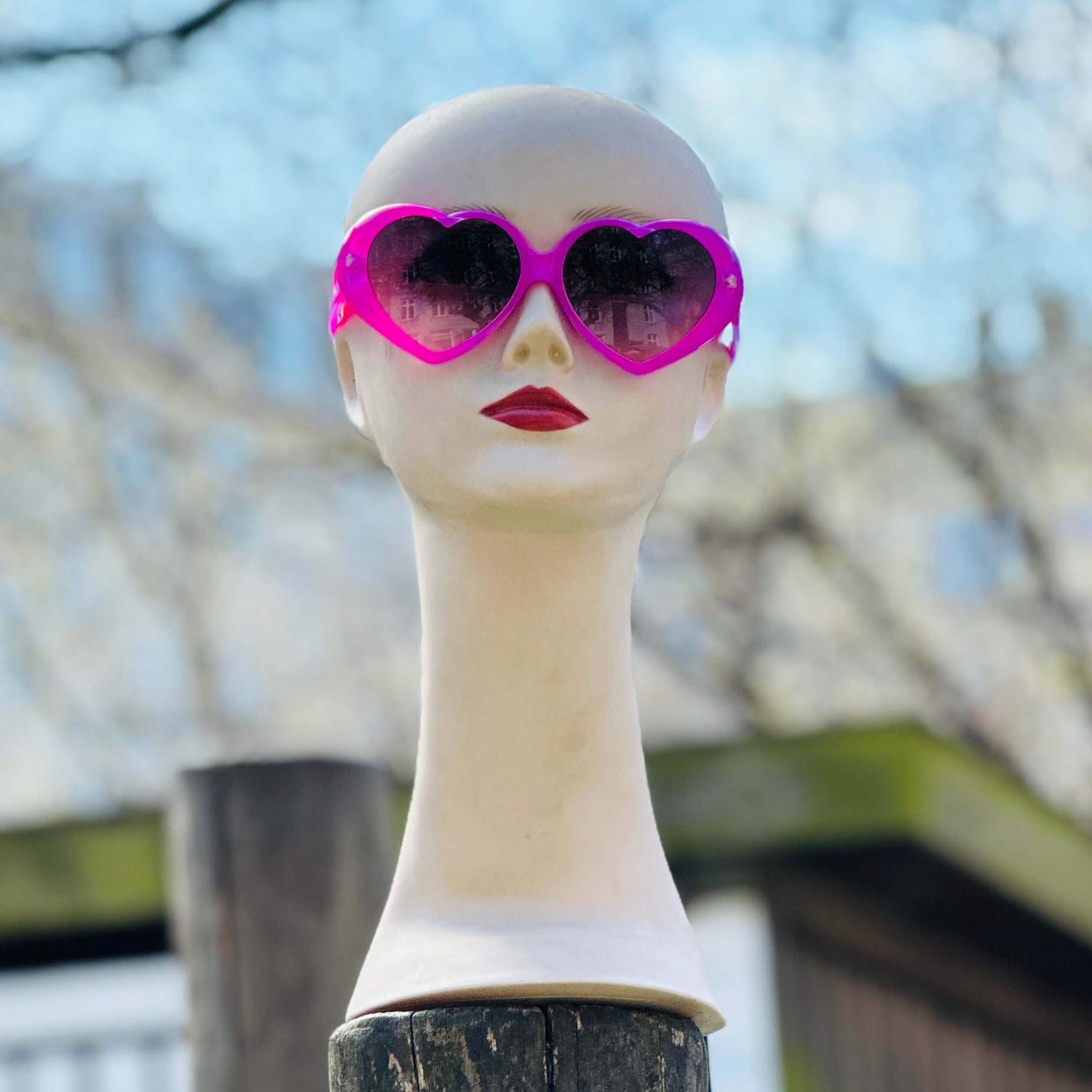 IMG_2888_74d38cb7-3f8b-43b9-